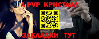 гашик Кингисепп