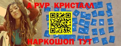 гашик Кингисепп