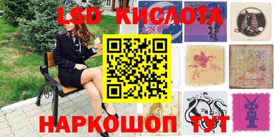 прущие грибы Кимры