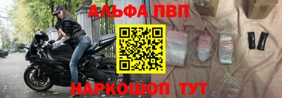 гашик Кингисепп