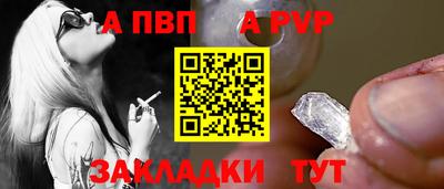 гашик Кингисепп