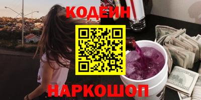 гашик Кингисепп