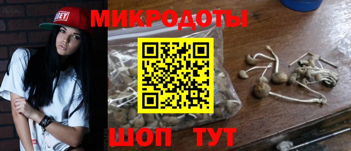 Галлюциногенные грибы MAGIC MUSHROOMS  Псилоцибиновые грибы GOLDEN TEACHER  где продают   Кувандык  Вход с VPN 